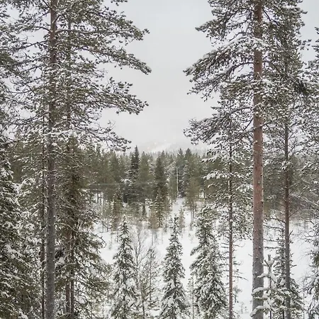 Saukkokumpu 3 By Interhome *